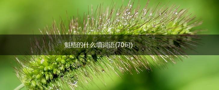 魁梧的什么填词语(70句),第1张
