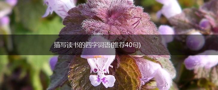 描写读书的四字词语(推荐40句),第1张