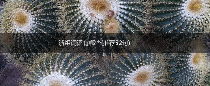 浙组词语有哪些(推荐52句),第1张