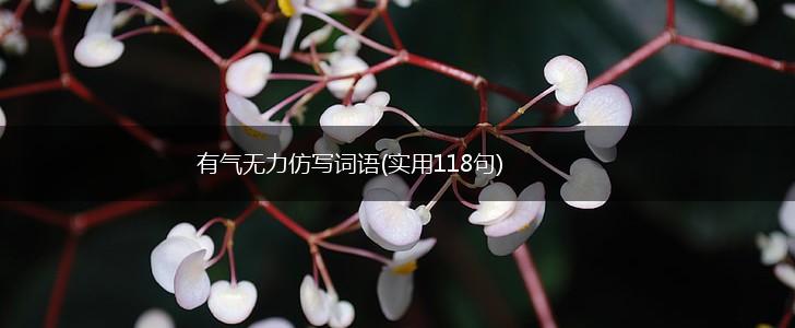 有气无力仿写词语(实用118句),第1张