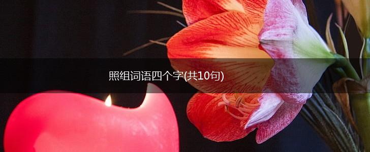 照组词语四个字(共10句),第1张