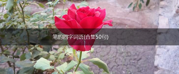 笔的四字词语(合集50句),第1张