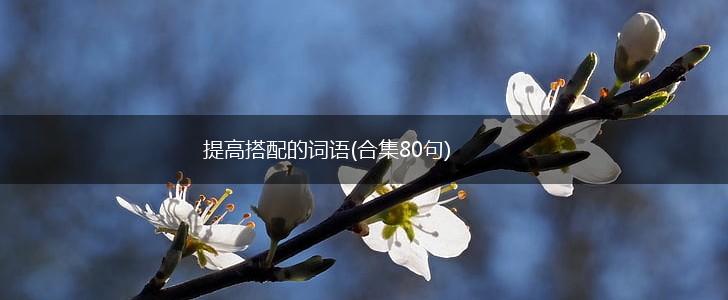 提高搭配的词语(合集80句),第1张