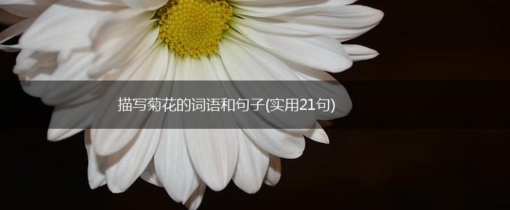 描写菊花的词语和句子(实用21句),第1张