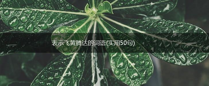 表示飞黄腾达的词语(实用50句),第1张