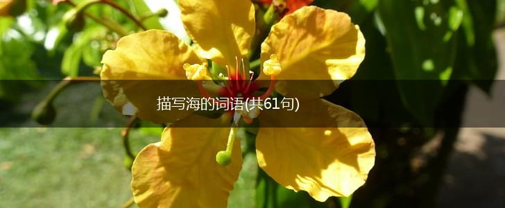 描写海的词语(共61句),第1张