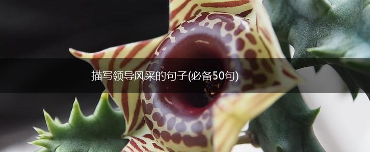 描写领导风采的句子(必备50句),第1张