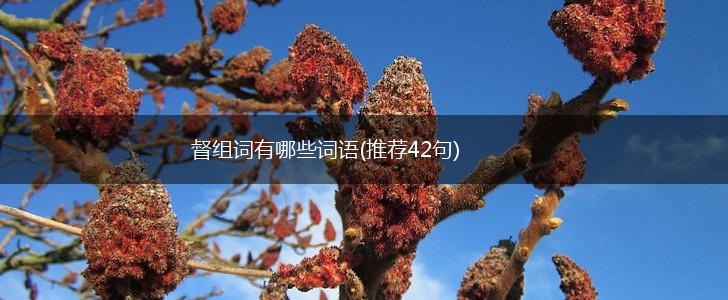 督组词有哪些词语(推荐42句),第1张