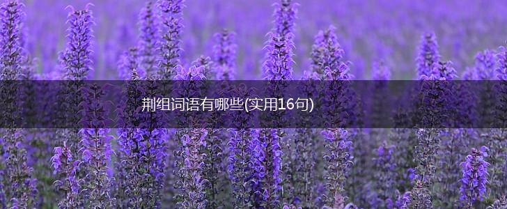 荆组词语有哪些(实用16句),第1张