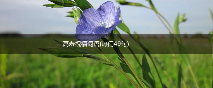 高寿祝福词语(热门49句),第1张