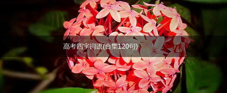 高考四字词语(合集120句),第1张