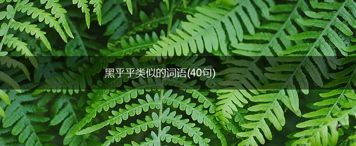 黑乎乎类似的词语(40句),第1张
