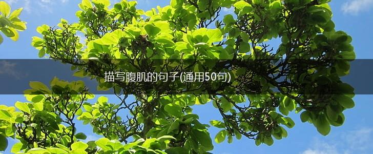 描写腹肌的句子(通用50句),第1张