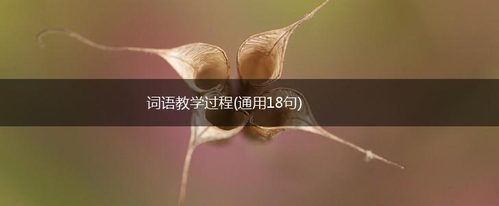 词语教学过程(通用18句),第1张