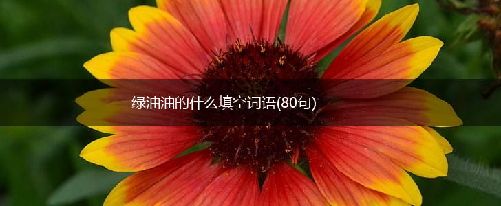 绿油油的什么填空词语(80句),第1张