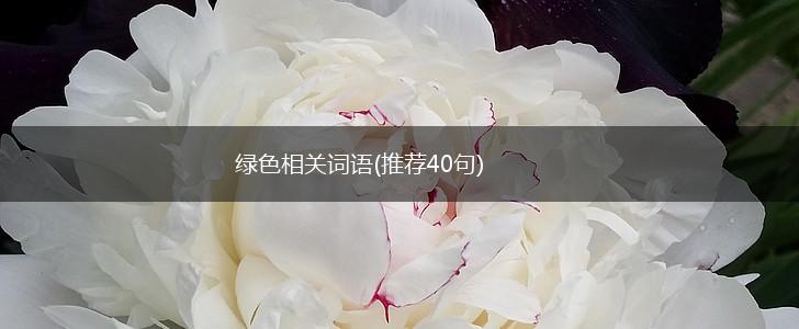 绿色相关词语(推荐40句),第1张