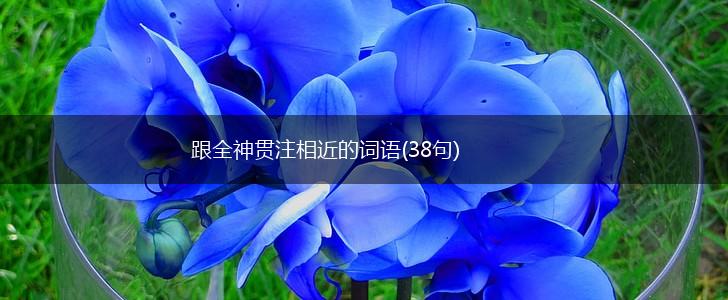 跟全神贯注相近的词语(38句),第1张