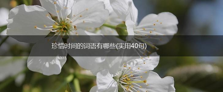 珍惜时间的词语有哪些(实用40句),第1张