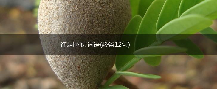 谁是卧底 词语(必备12句),第1张