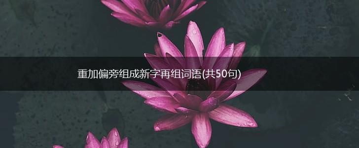 重加偏旁组成新字再组词语(共50句),第1张
