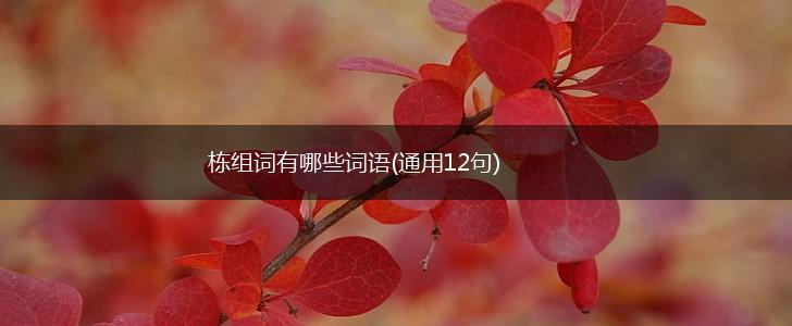 栋组词有哪些词语(通用12句),第1张