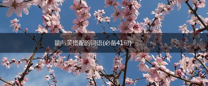 能与笑搭配的词语(必备41句),第1张