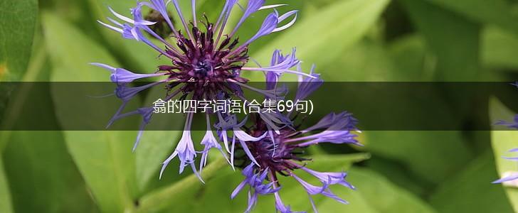 翕的四字词语(合集69句),第1张