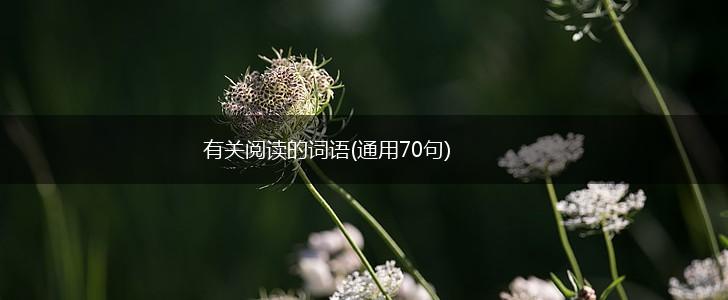 有关阅读的词语(通用70句),第1张