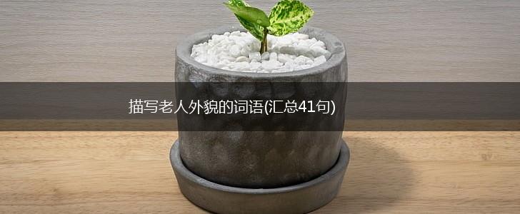 描写老人外貌的词语(汇总41句),第1张