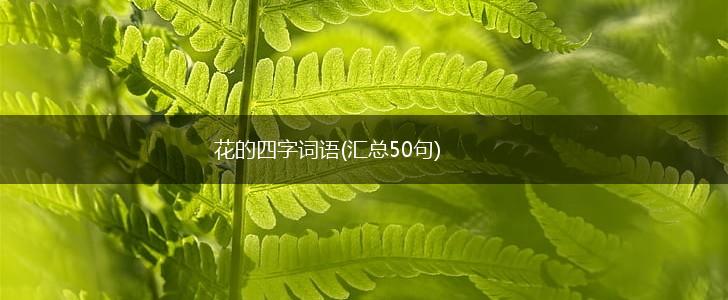 花的四字词语(汇总50句),第1张