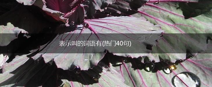 表示叫的词语有(热门40句),第1张