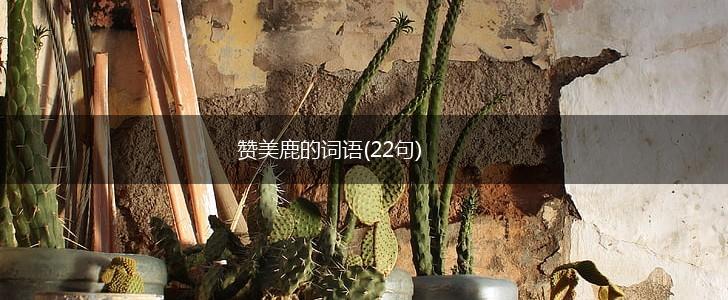 赞美鹿的词语(22句),第1张