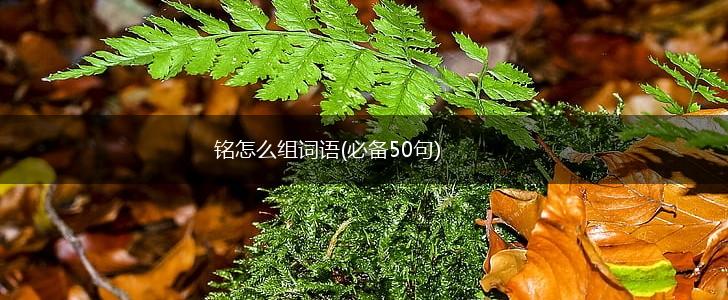 铭怎么组词语(必备50句),第1张