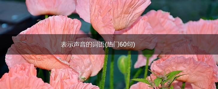 表示声音的词语(热门60句),第1张