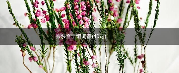 旁多音字组词语(40句),第1张