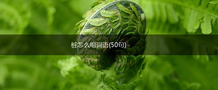桩怎么组词语(50句),第1张