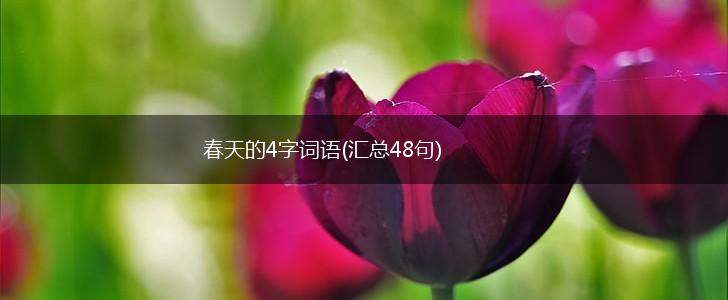 春天的4字词语(汇总48句),第1张
