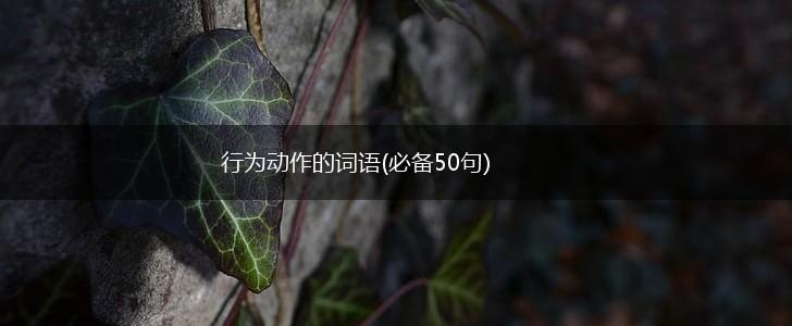 行为动作的词语(必备50句),第1张
