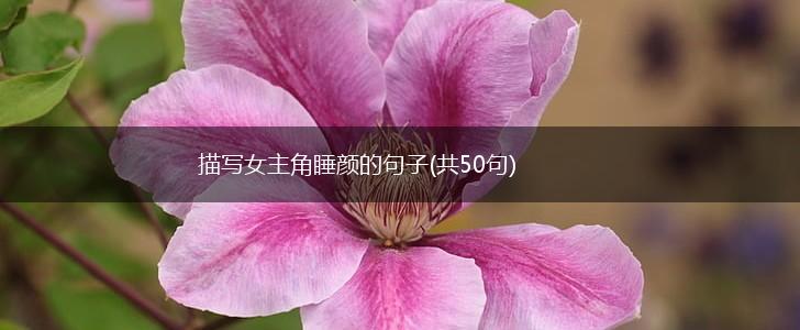 描写女主角睡颜的句子(共50句),第1张