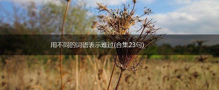 用不同的词语表示难过(合集23句),第1张