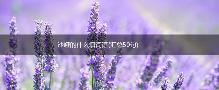 沙哑的什么填词语(汇总50句),第1张