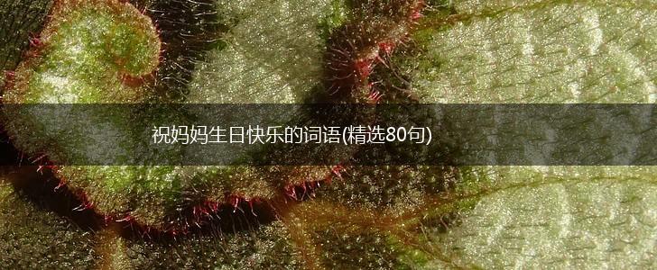 祝妈妈生日快乐的词语(精选80句),第1张