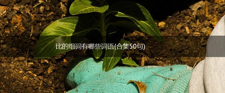 比的组词有哪些词语(合集50句),第1张