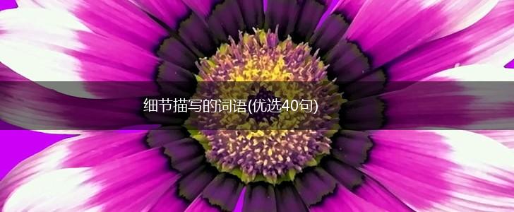 细节描写的词语(优选40句),第1张