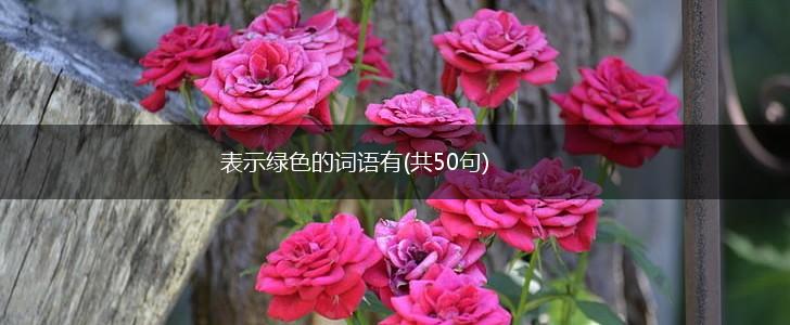 表示绿色的词语有(共50句),第1张