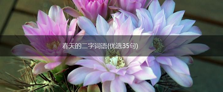 春天的二字词语(优选35句),第1张