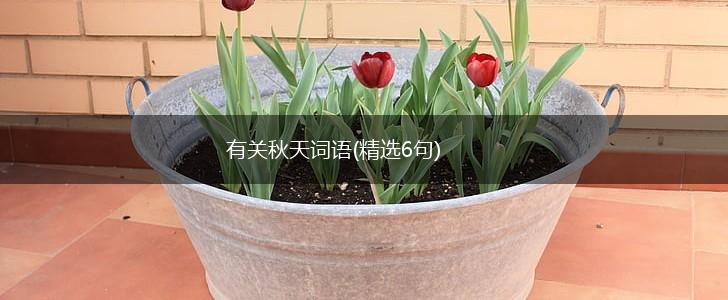 有关秋天词语(精选6句),第1张