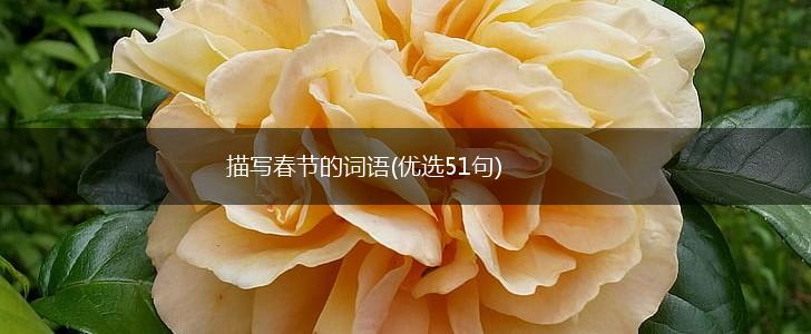 描写春节的词语(优选51句),第1张