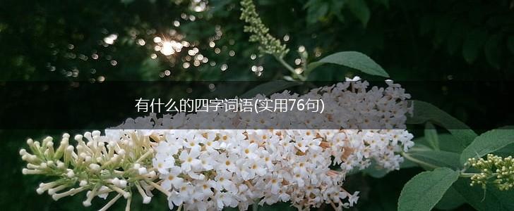 有什么的四字词语(实用76句),第1张