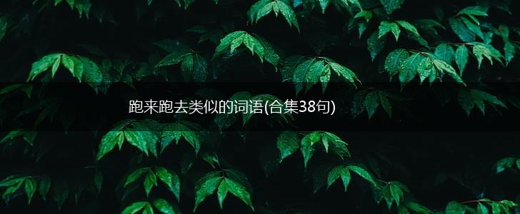 跑来跑去类似的词语(合集38句),第1张